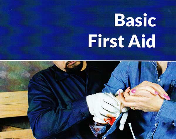 Image of Basic First Aid Course Overview
