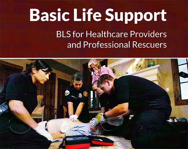 Image of Basic Life Support Course Overview